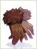 Aegir Glove.jpg